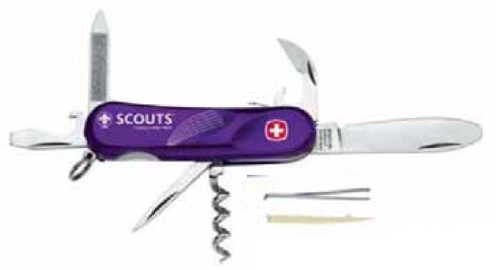 Wenger Junior S10 Scout