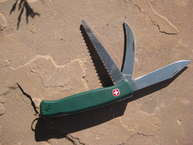 Ranger Sabla 9 (1770906). Picture by ColoSwiss.