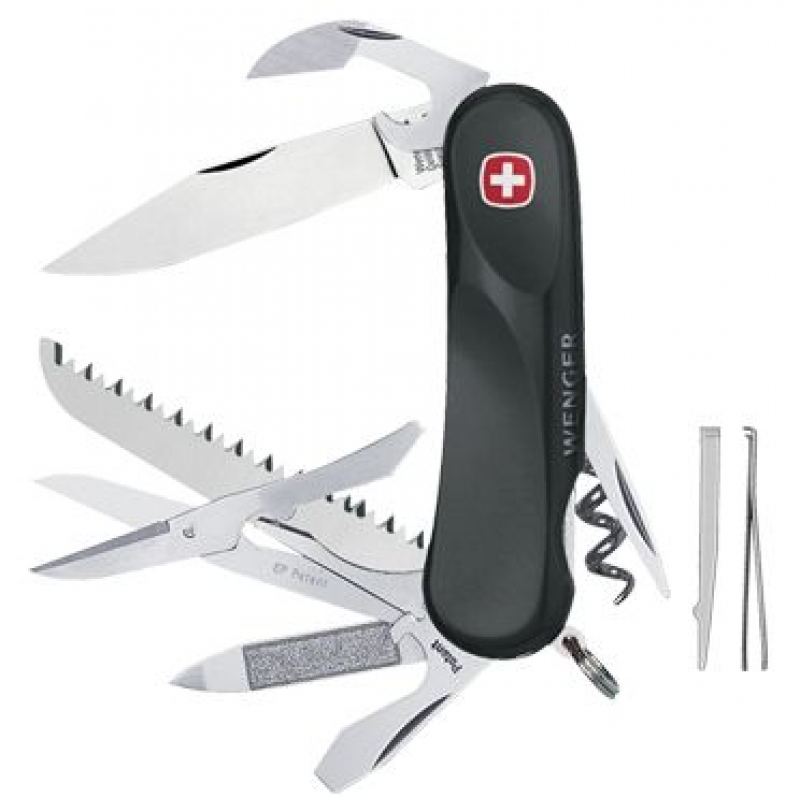 Wenger Evolution ST 17.814.JPG